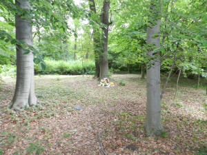 Baumfeld-Ahrensfelde